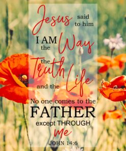 John 14:6 - I Am the Way - Bible Verses To Go