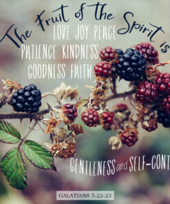 Galatians 5:22-23 - Fruit of the Spirit - Bible Verses To Go