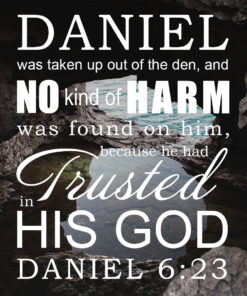 Daniel 6:23 - Trusted in His God - Bible Verses To Go