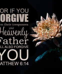 Matthew 6:14 - Forgive - Bible Verses To Go