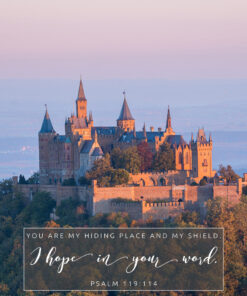 Psalm 119:114 - My Hiding Place - Bible Verses To Go