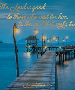 Lamentations 3:25 - The Lord is Good - Bible Verses To Go