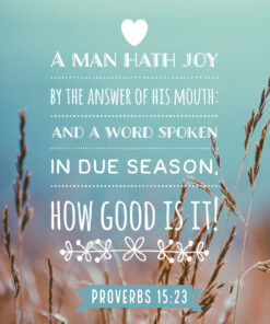 Proverbs 15:23 - A Man Hath Joy - Bible Verses To Go
