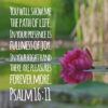 Psalm 16:11 - Fullness of Joy - Bible Verses To Go