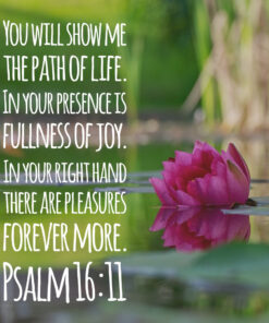 Psalm 16:11 - Fullness of Joy - Bible Verses To Go