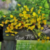 John 14:15 - Keep My Commandments - Bible Verses To Go