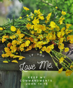 John 14:15 - Keep My Commandments - Bible Verses To Go
