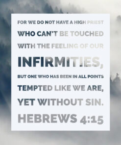 Hebrews 4:15 - Yet Without Sin - Bible Verses To Go