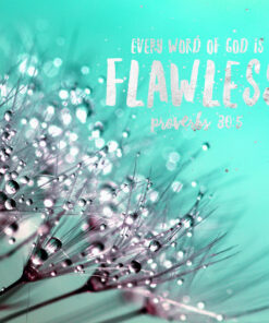 Proverbs 30:5 - Every Word of God - Bible Verses To Go