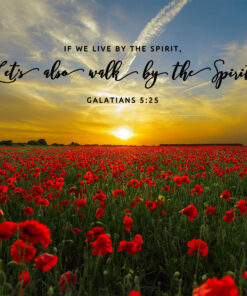 Galatians 5:25 - Walk by the Spirit - Bible Verses To Go