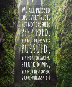 2 Corinthians 4:8-9 - Not Forsaken - Bible Verses To Go