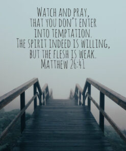 Matthew 26:41 - Watch and Pray - Bible Verses To Go