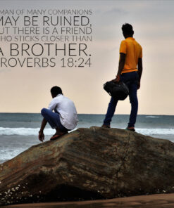 Proverbs 18:24 - Closer Than a Brother - Bible Verses To Go