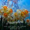 Matthew 5:9 - Blessed are the Peacemakers - Bible Verses To Go