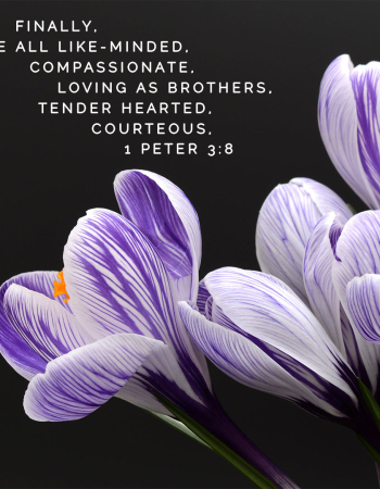 1 Peter 3:8 – Compassionate
