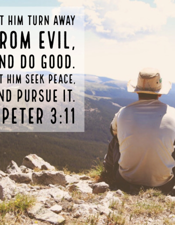 1 Peter 3:11 – Seek Peace and Pursue It