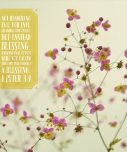 1 Peter 3:9 - Blessing Instead of Insult