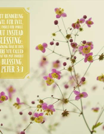 1 Peter 3:9 – Blessing Not Evil