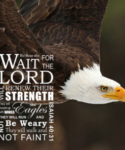 Isaiah 40:31 - Wings Like Eagles - Bible Verses To Go