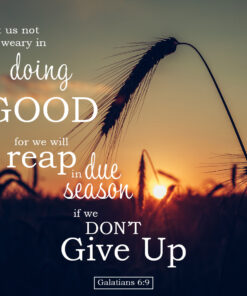 Galatians 6:9 - Doing Good - Bible Verses To Go