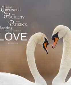 Ephesians 4:2 - In Love - Bible Verses To Go