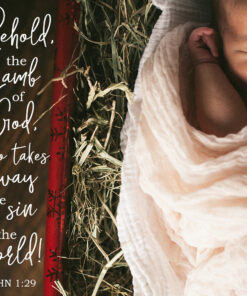 John 1:29 - Behold, the Lamb of God - Bible Verses To Go