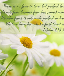 1 John 4:18-19 - He First Loved Us - Bible Verses To Go