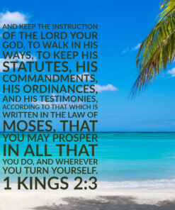 1 Kings 2:3 - Prosper in All You Do - Bible Verses To Go