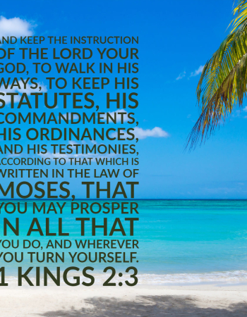 1 Kings 2:3 – Prosper in All You Do