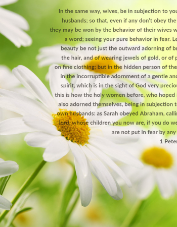 1 Peter 3:1-6 – Wife Beauty
