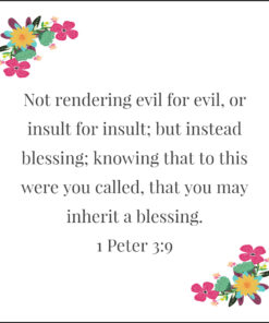 1 Peter 3:9 - Blessing Instead of Insult - Bible Verses To Go