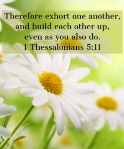 1 Thessalonians 5:11 - Build Each Other Up - Bible Verses To Go