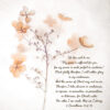 2 Corinthians 12:9-10 - My Grace Is Sufficient - Bible Verses To Go