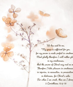 2 Corinthians 12:9-10 - My Grace Is Sufficient - Bible Verses To Go