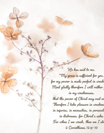2 Cor 12:9-10 – My Grace