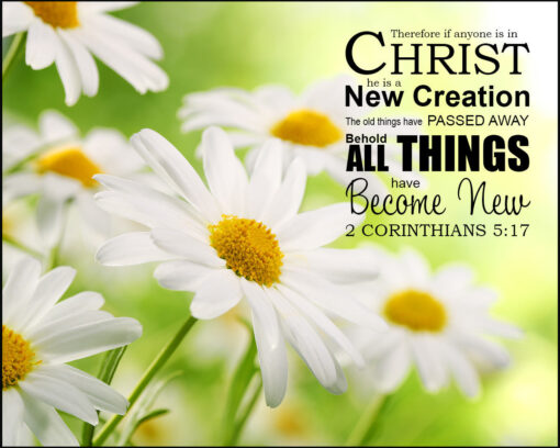2 Corinthians 5:17 - All New - Bible Verses To Go
