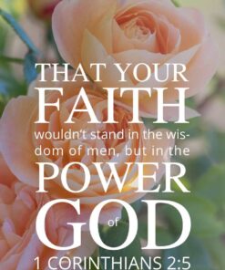 Christian Wallpaper - 3 Roses 1 Corinthians 2:5