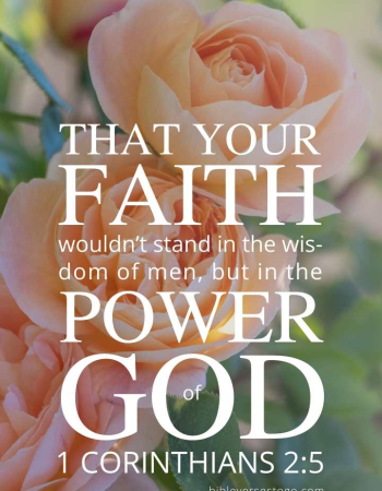 3 Roses 1 Corinthians 2:5