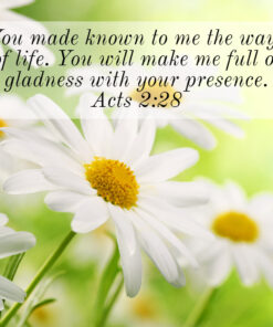 Acts 2:28 - Full of Gladness - Bible Verses To Go
