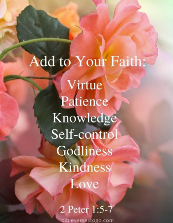Add to Faith 2 Peter 1:5-7