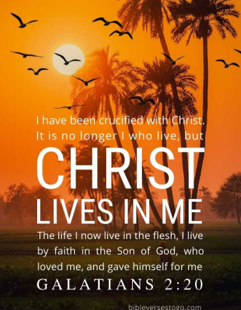 Africa Sunset Galatians 2:20