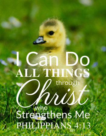 Baby Duck Philippians 4:13