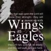 Christian Wallpaper - Bald Eagle Isaiah 40:31