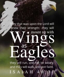 Christian Wallpaper - Bald Eagle Isaiah 40:31