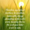 Christian Wallpaper - Barley Field 1 Corinthians 15:58