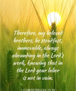 Christian Wallpaper - Barley Field 1 Corinthians 15:58