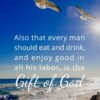 Christian Wallpaper - Beach Seagulls Ecclesiastes 3:13