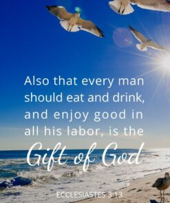 Christian Wallpaper - Beach Seagulls Ecclesiastes 3:13