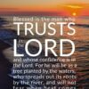 Christian Wallpaper - Beach Sunset Jeremiah 17:7-8