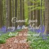 Christian Wallpaper - Beautiful Path Psalm 37:5